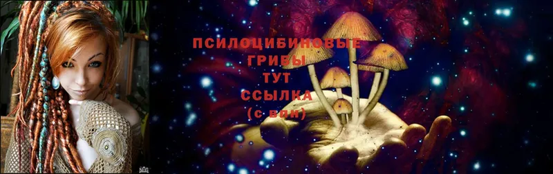 Псилоцибиновые грибы Magic Shrooms  наркошоп  Норильск 